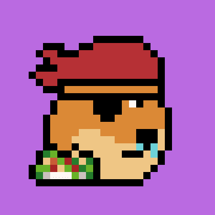 Dogepunk #1312