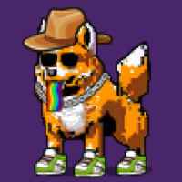 DogePunks #2238