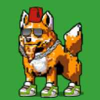 DogePunks #2045