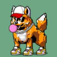 DogePunks #4594