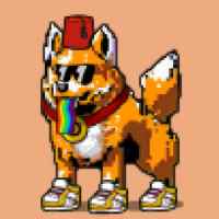 DogePunks #1114