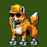 DogePunks #4870