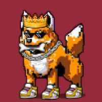 DogePunks #2386