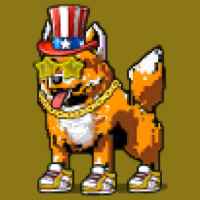DogePunks #2782