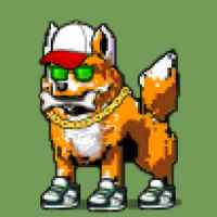 DogePunks #692