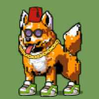 DogePunks #1582