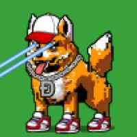 DogePunks #3548