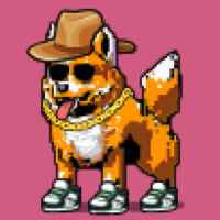 DogePunks #4514
