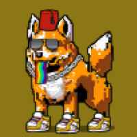 DogePunks #671