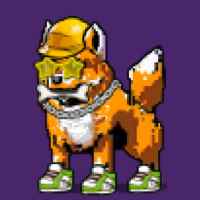 DogePunks #3206
