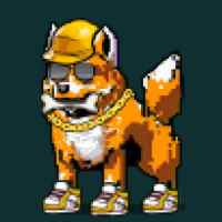 DogePunks #485