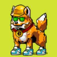 DogePunks #764