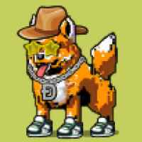 DogePunks #500