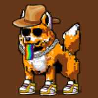 DogePunks #460