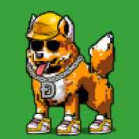 DogePunks #428