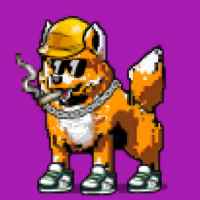 DogePunks #678