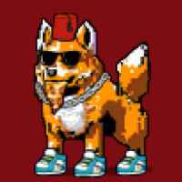 DogePunks #1611