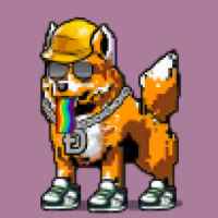 DogePunks #1600