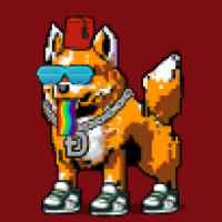 DogePunks #3211