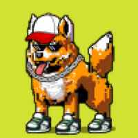DogePunks #572