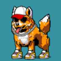 DogePunks #3707