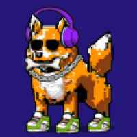 DogePunks #4981