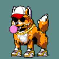 DogePunks #2415