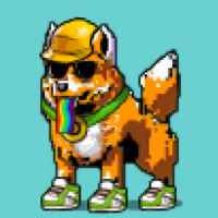 DogePunks #2505