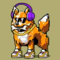 DogePunks #1798