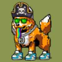 DogePunks #568