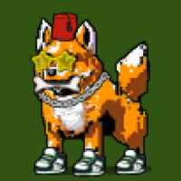 DogePunks #2314
