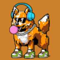 DogePunks #1384