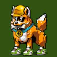 DogePunks #2736