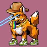 DogePunks #916