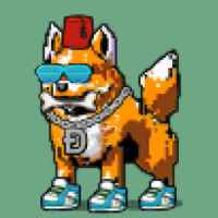 DogePunks #2231