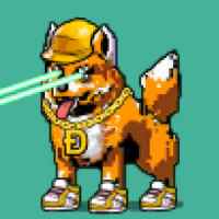 DogePunks #794