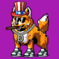 DogePunks #197