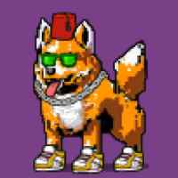 DogePunks #759
