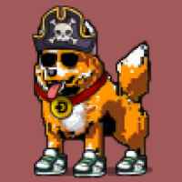 DogePunks #843