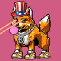 DogePunks #4978