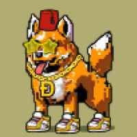 DogePunks #2462
