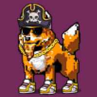 DogePunks #2781