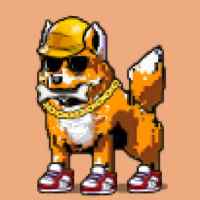 DogePunks #3675