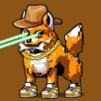 DogePunks #3641