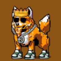 DogePunks #292