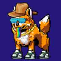 DogePunks #4800