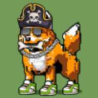 DogePunks #2884