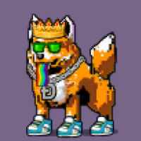 DogePunks #4882