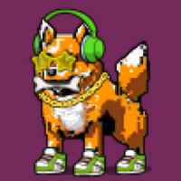 DogePunks #1917