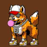 DogePunks #1193
